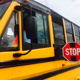 We Never Really Leave Middle School